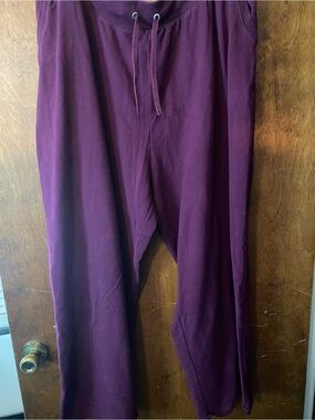 26/28w Womens plum colored pull on pants